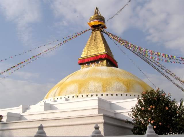 PB050123.jpg