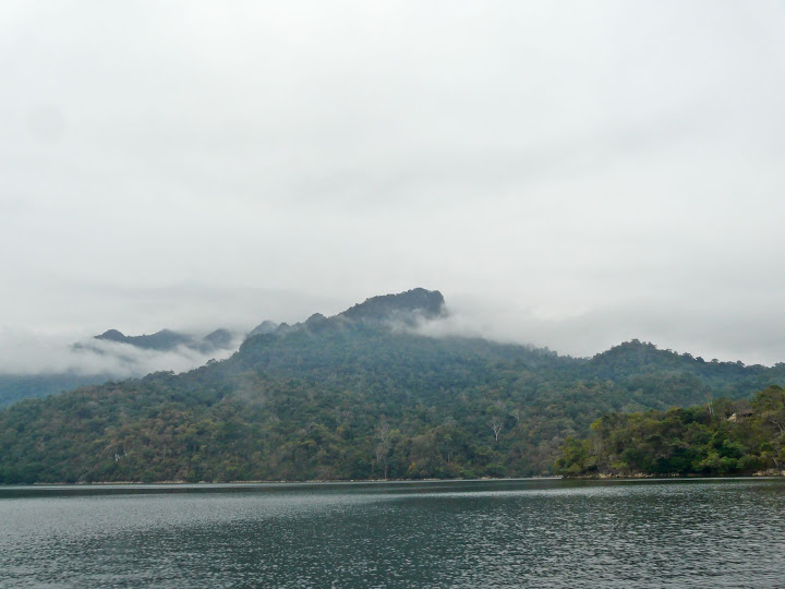 P1050527.JPG