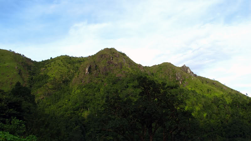 IMG_1975.jpg