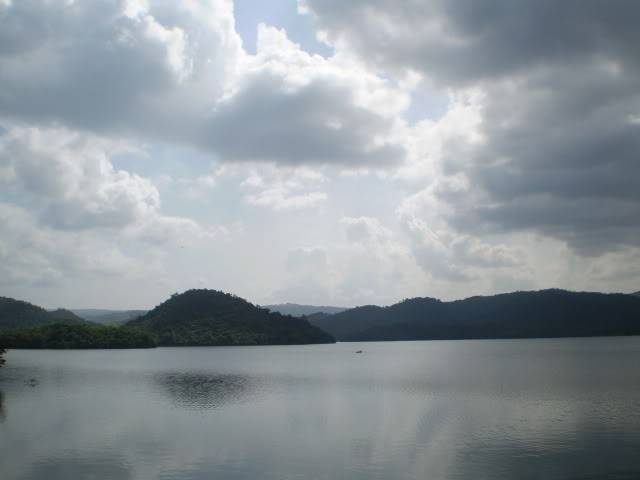 P1010207.jpg