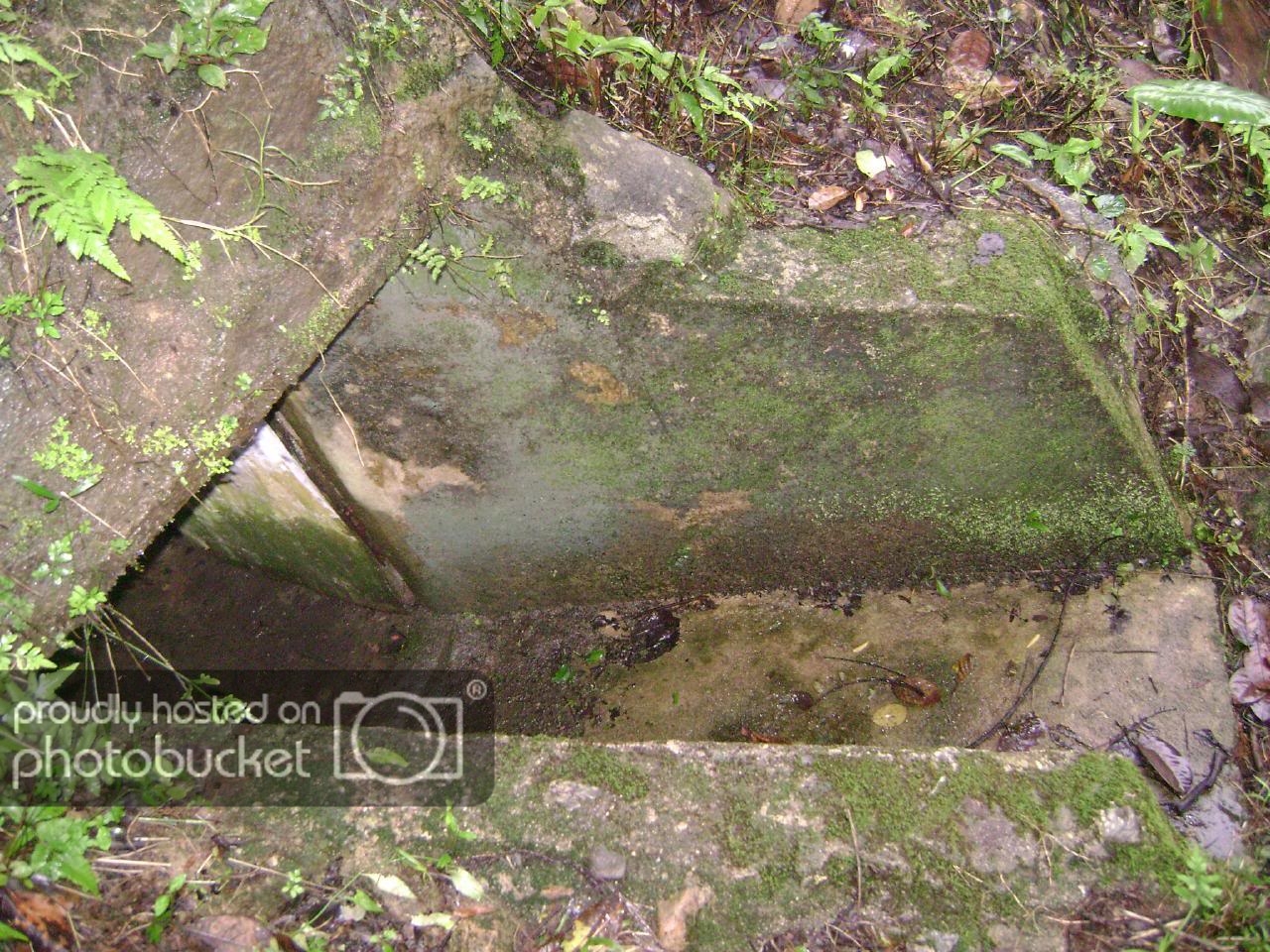 DSC03576.jpg