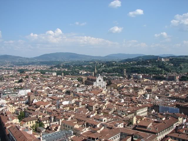 DSC09542.jpg