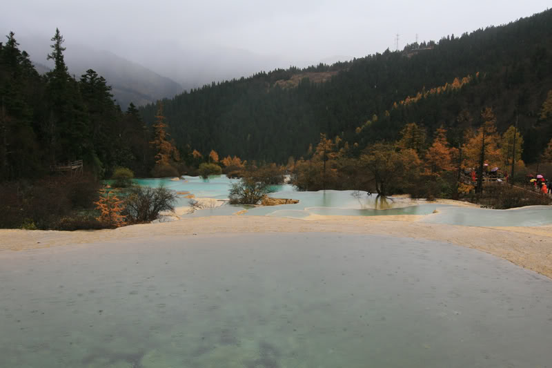 hoanglong123.jpg