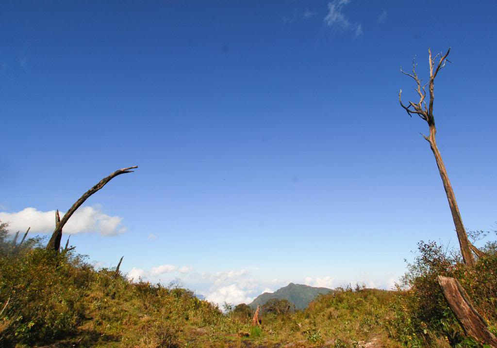 DSC_0095.jpg