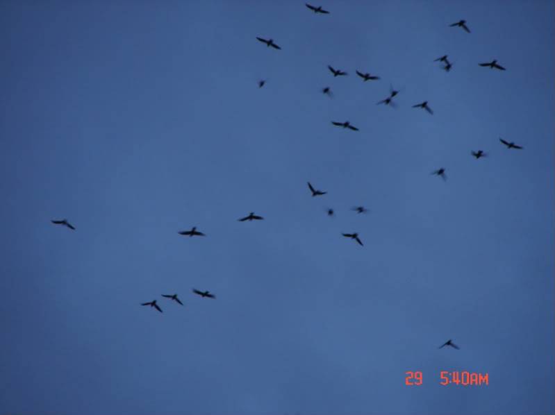 DSC00812.jpg