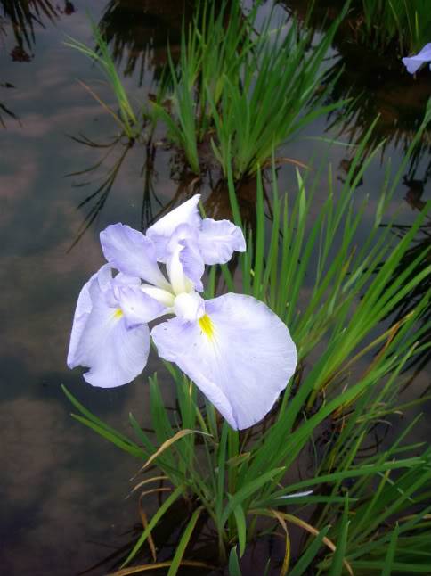IMGP0038.jpg