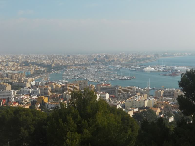 DSCN6609.jpg