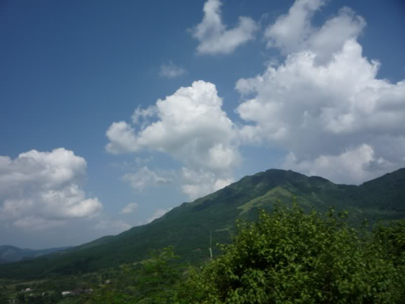 P1010729800x600.jpg