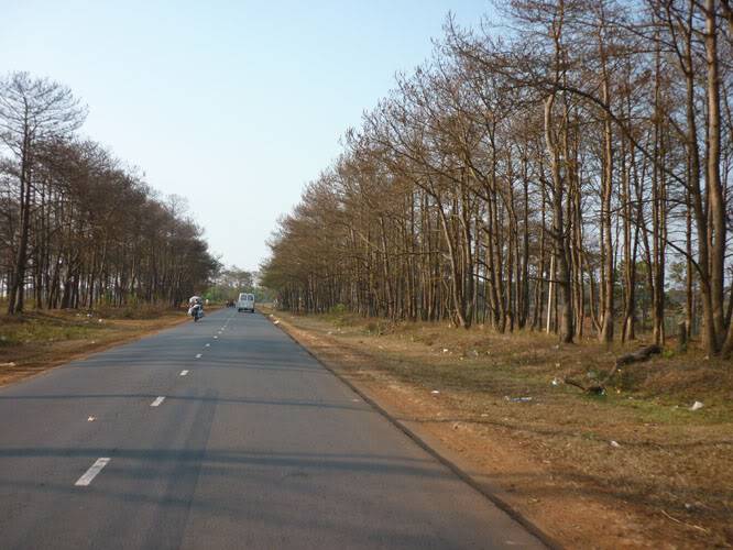P1060718.jpg