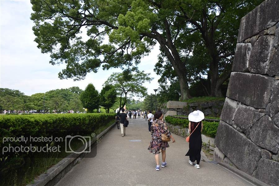 resized__SAM8107_zpsezjatnwb.jpg