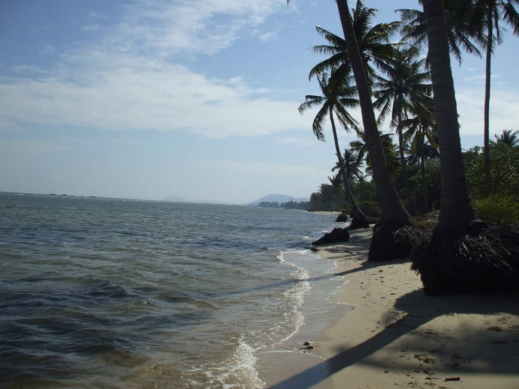 DSCF4942.jpg