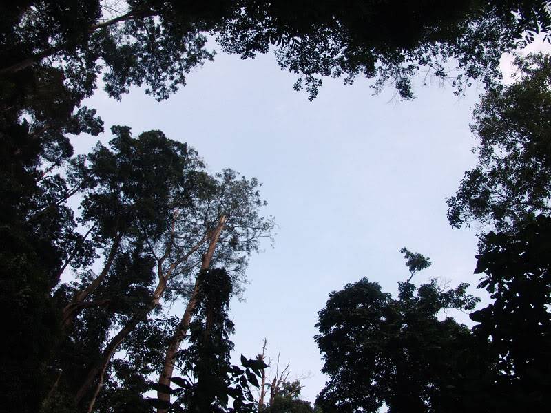Xuanson2009sony045.jpg