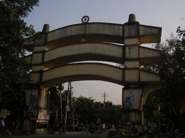 PB170783-1.jpg