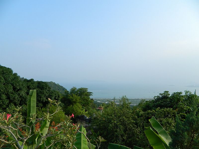 DSCN2544.jpg