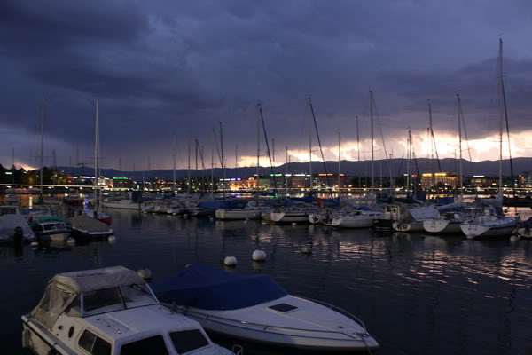 IMG_7926.jpg