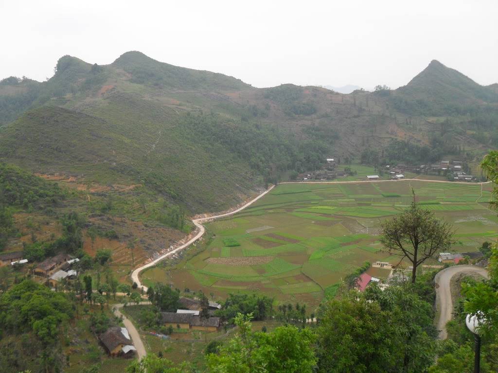 SDC15436.jpg