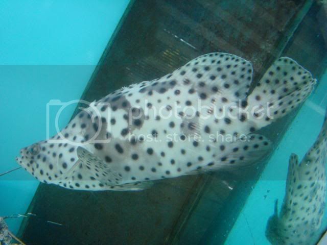 DSC00450.jpg