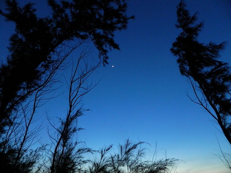 DSCN4413_241.jpg