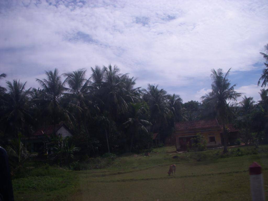 DSCN4168_zps5fb61517.jpg