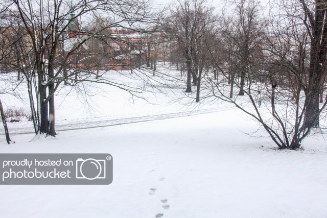image_26.jpeg