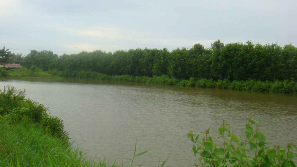 170.jpg