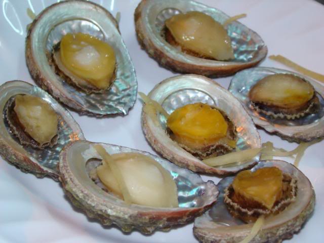DSC00636.jpg