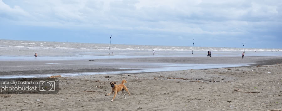 DSC_0026.jpg