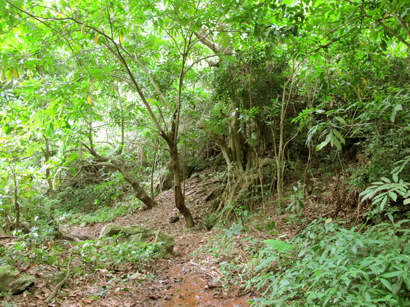 TayYenTu1010592.jpg