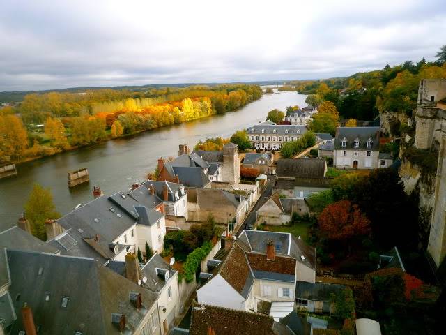 P1170251.jpg