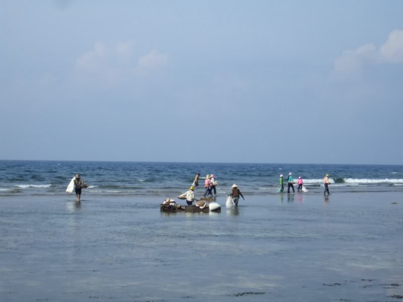 DSCF6773.jpg