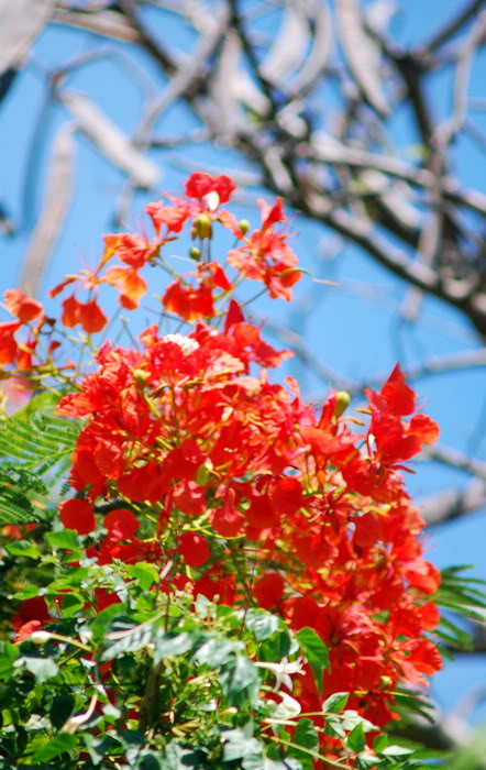 DSC_6807_resize.jpg