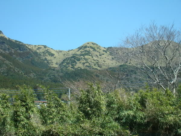 DSC02345_resize.jpg