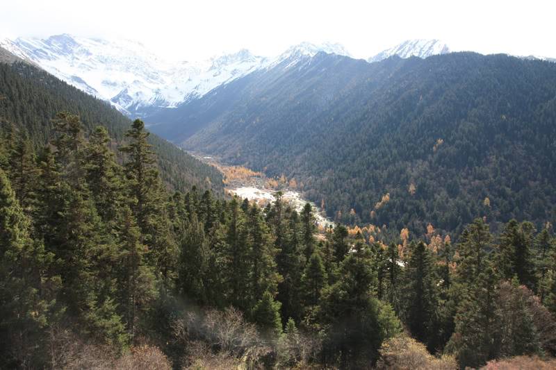 hoanglong25.jpg