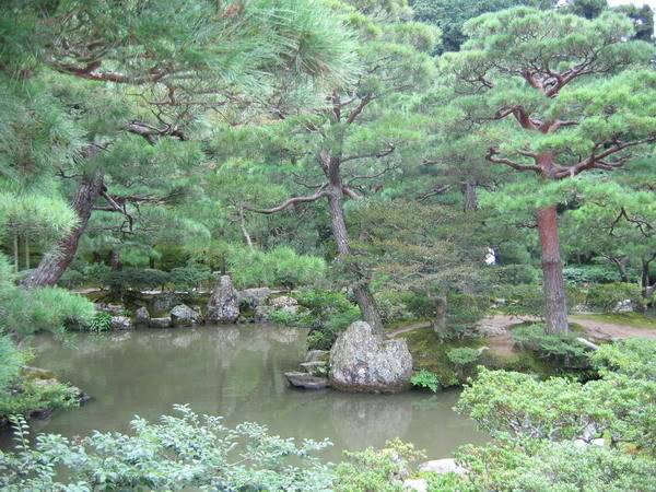 IMG_1089_resize.jpg