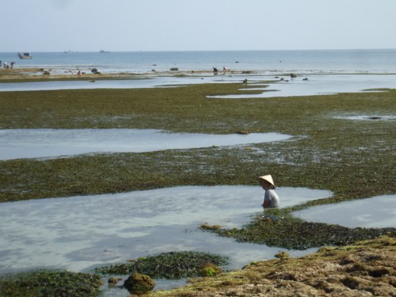 DSCF6789.jpg