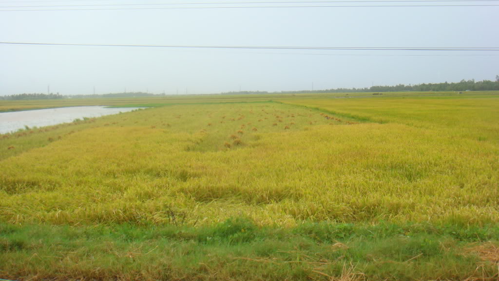 236.jpg