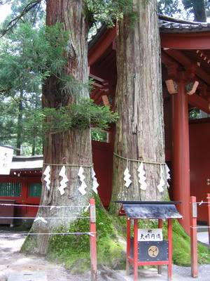 IMG_1609_resize.jpg