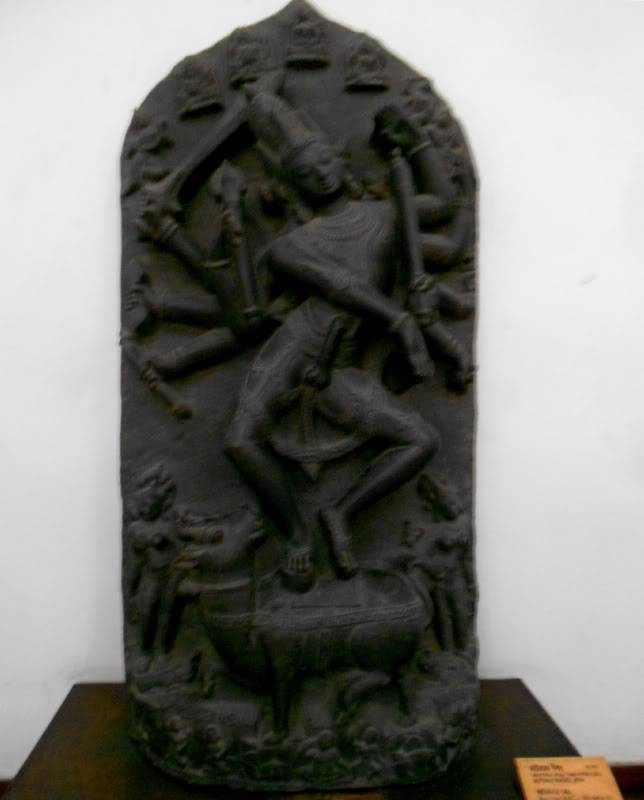 DSCN6711-1.jpg