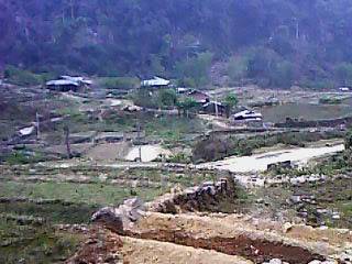 IMG0100A.jpg