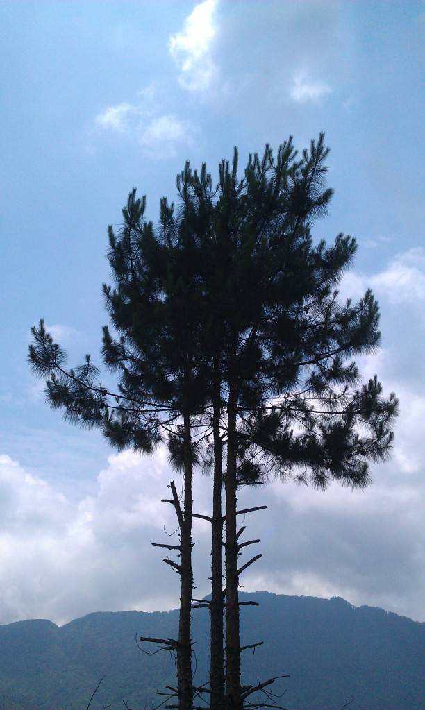 IMAG0138.jpg