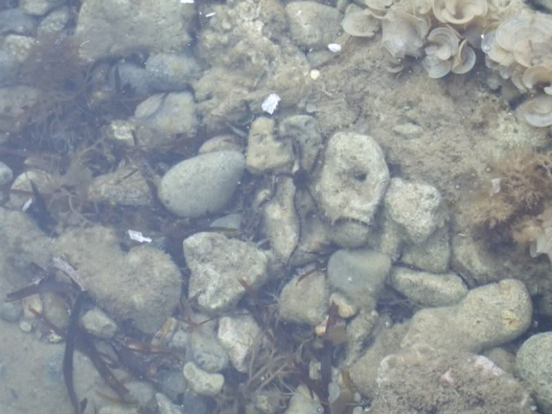 DSCF6775.jpg