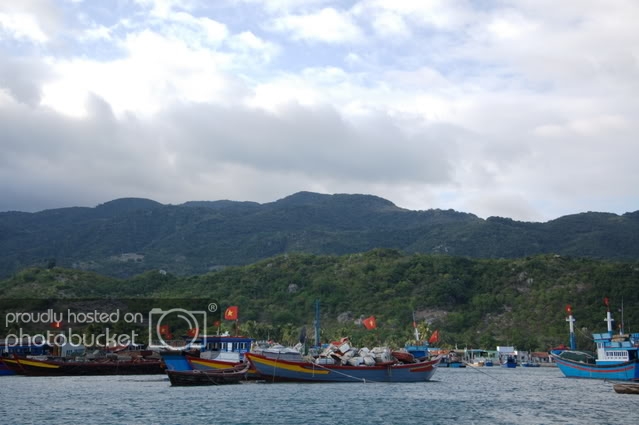 DSC_0378.jpg