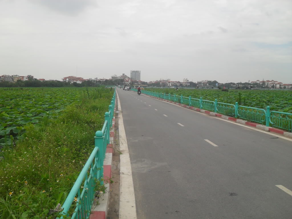 SDC16316.jpg