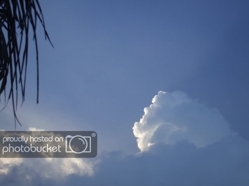 DSCF7797.jpg