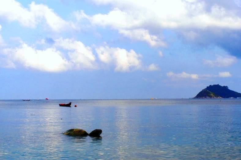 P1200163-1.jpg