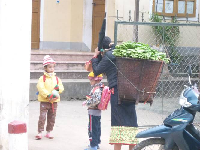 P1410562.jpg