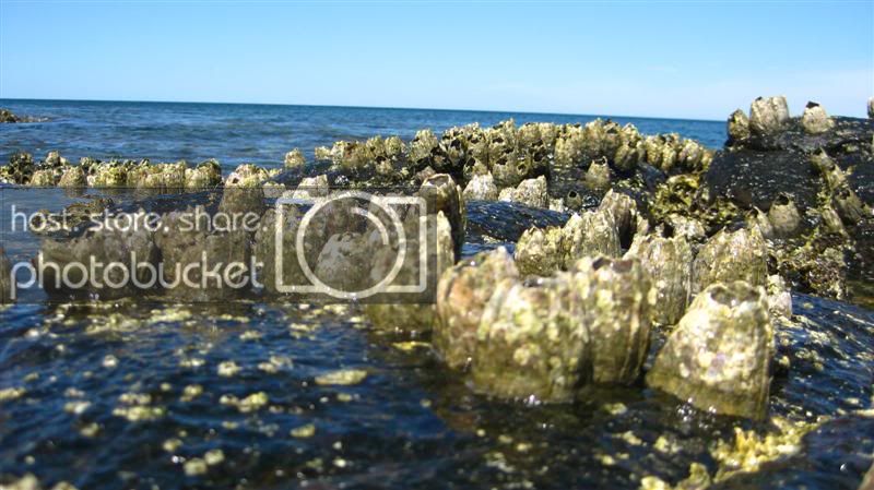 IMG_8116Medium.jpg