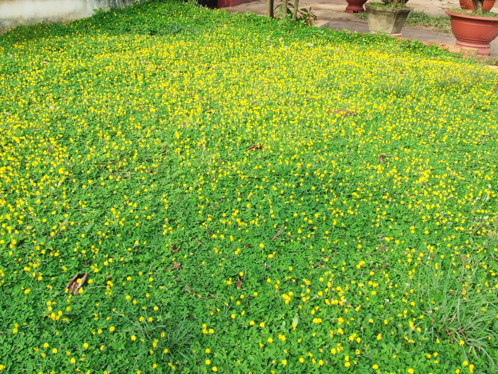 DSCF0777.jpg