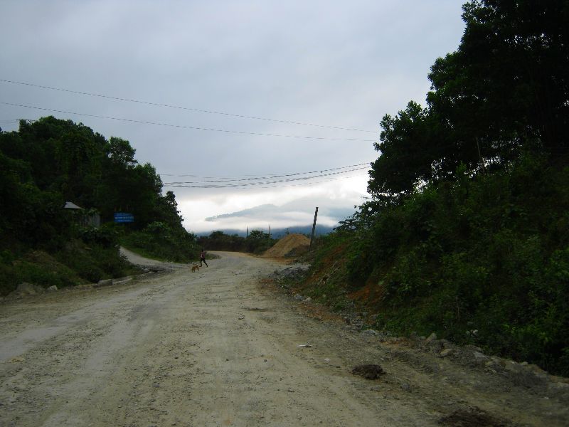 IMG_2376.jpg