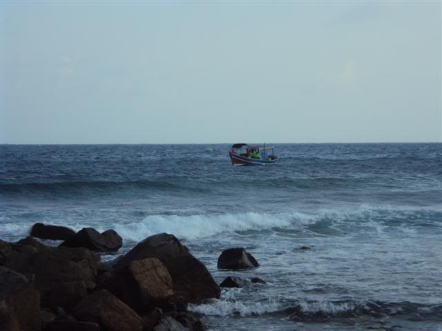 DSC06331Small.jpg